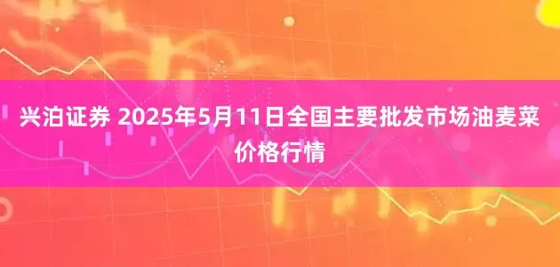 兴泊证券 2025年5月11日全国主要批发市场油麦菜价格行情