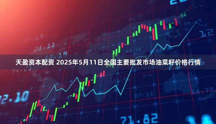 天盈资本配资 2025年5月11日全国主要批发市场油菜籽价格行情