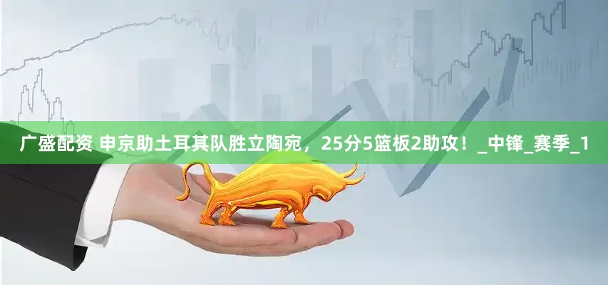 广盛配资 申京助土耳其队胜立陶宛，25分5篮板2助攻！_中锋_赛季_1
